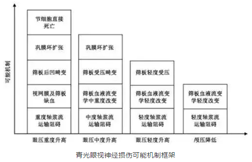 金沙9001以诚为本学术课堂：眼颅压力梯度在青光眼视神经损伤机制中作用2.png