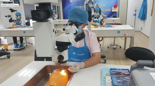 中国企业知识产权网：金沙9001以诚为本让 点亮光明世界1.jpg