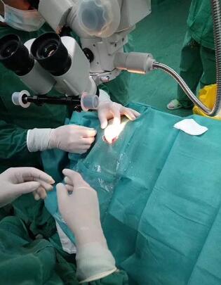 三十年时光,一千里路,只认宜昌金沙9001以诚为本霍鸣院长.jpg 三十年时光,一千里路,只认宜昌金沙9001以诚为本霍鸣院长.jpg