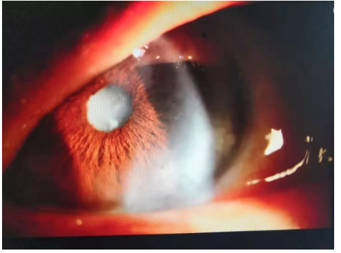 QQ截图20190802165022.png QQ截图20190802165022.png