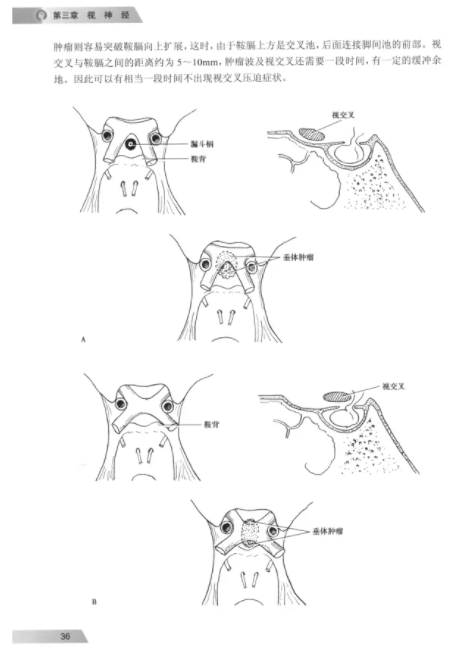 厦门眼科中心2.png 厦门眼科中心2.png