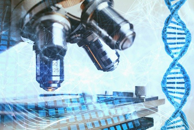 金沙9001以诚为本